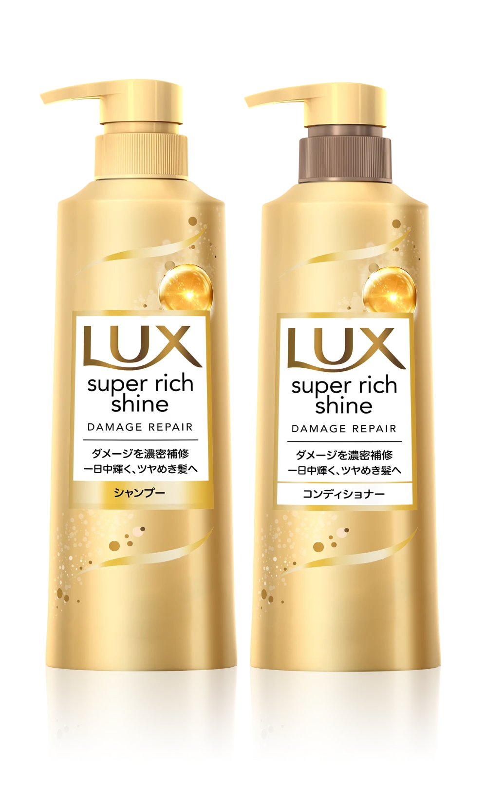 低価格のシャンプー愛好会