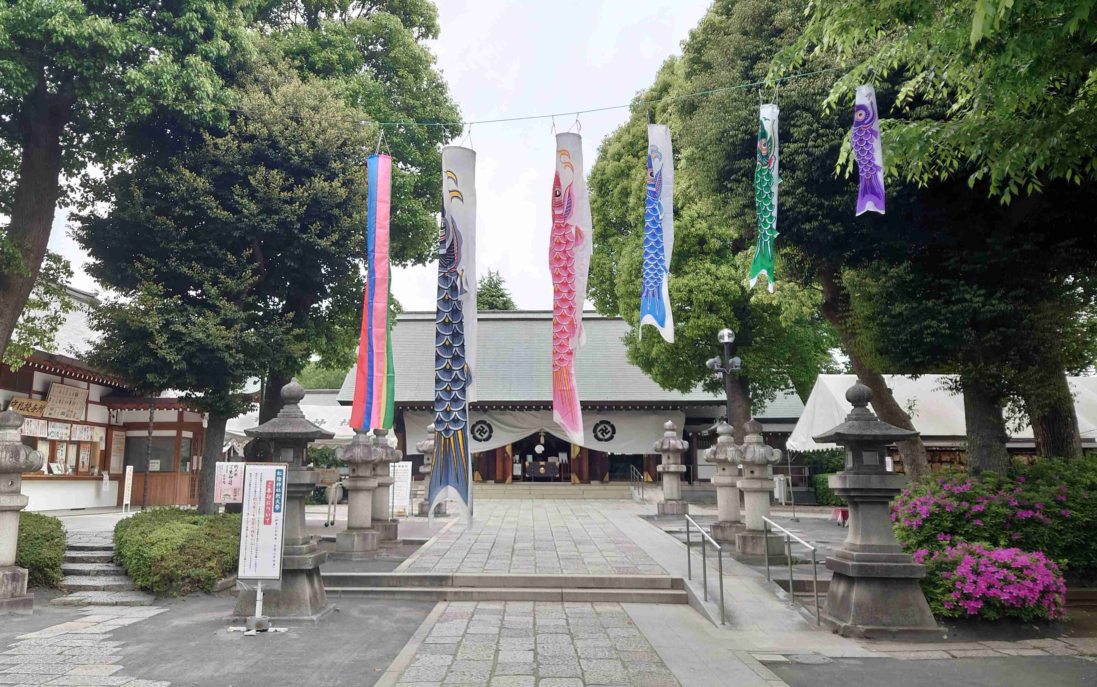 今日はこどもの日！