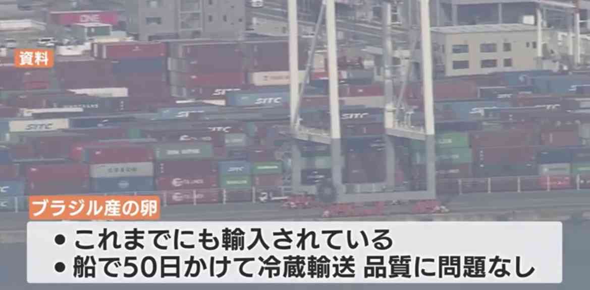 キユーピーが「ブラジル産卵」輸入へ　供給量不足や価格の高騰受け　“業務用商品”向けに