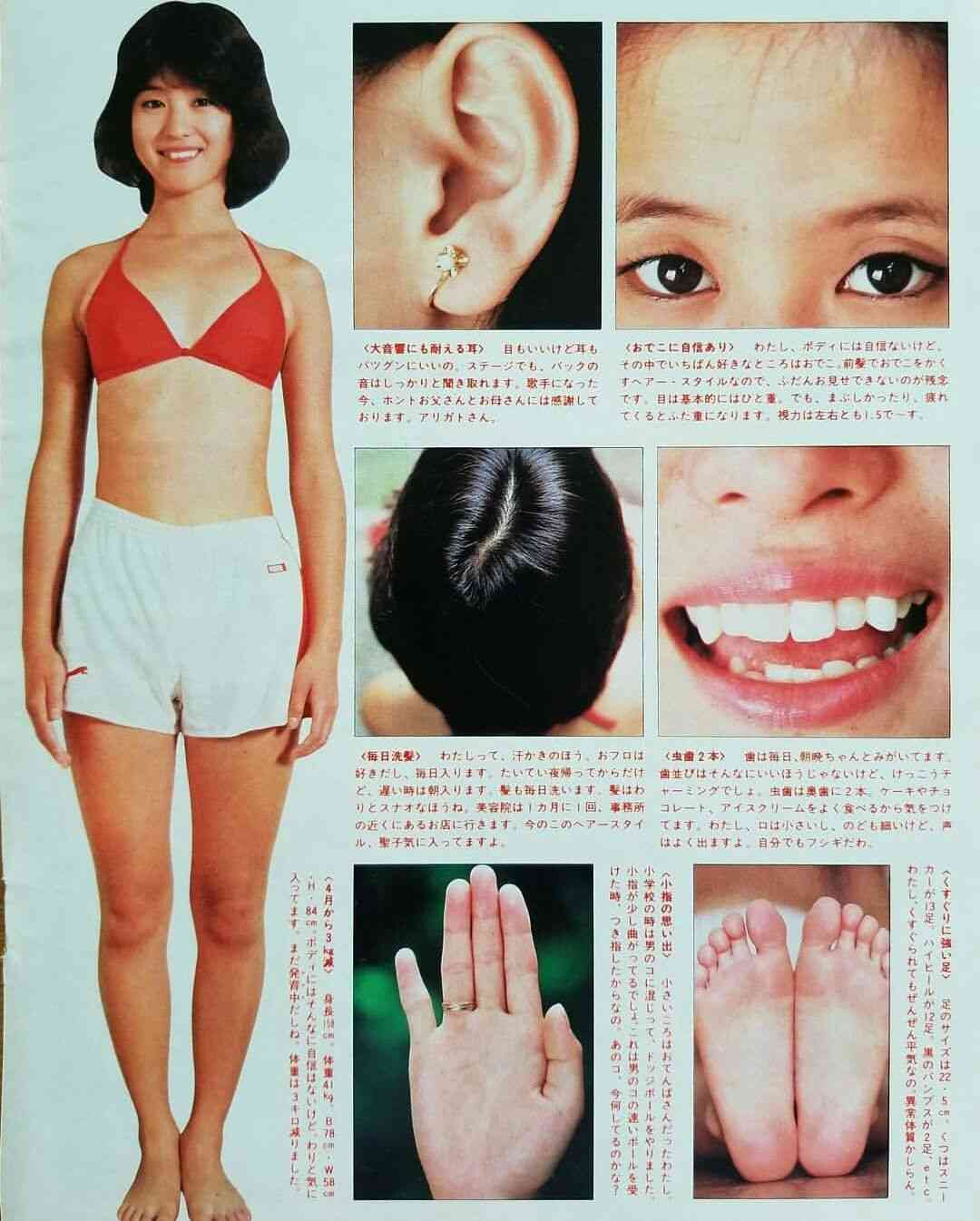 芸能人、有名人の髪質