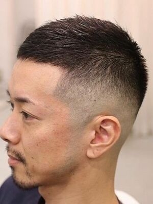 芸能人、有名人の髪質