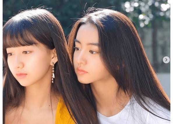 芸能人、有名人の髪質