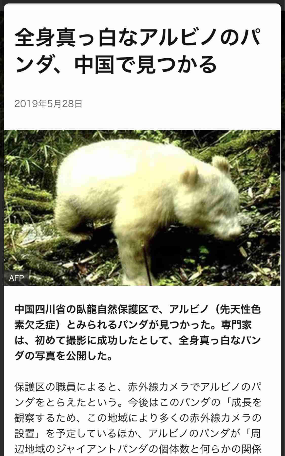 中国 全身が“真っ白なジャイアントパンダ”の映像が公開 北京大学の専門家「遺伝子の突然変異かも」