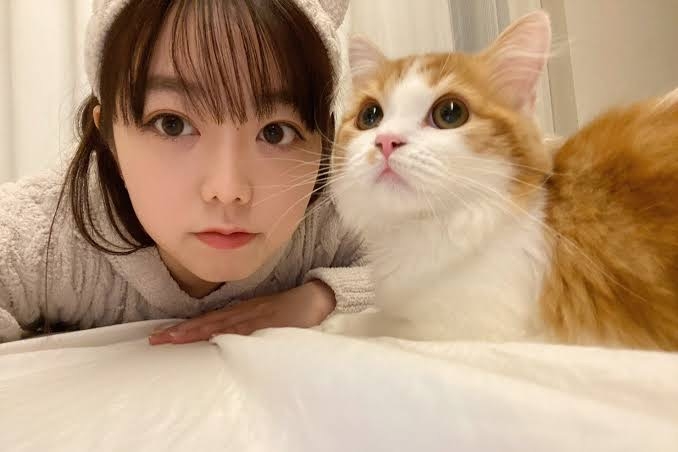 ネコの可愛い仕草を語りたい🐾