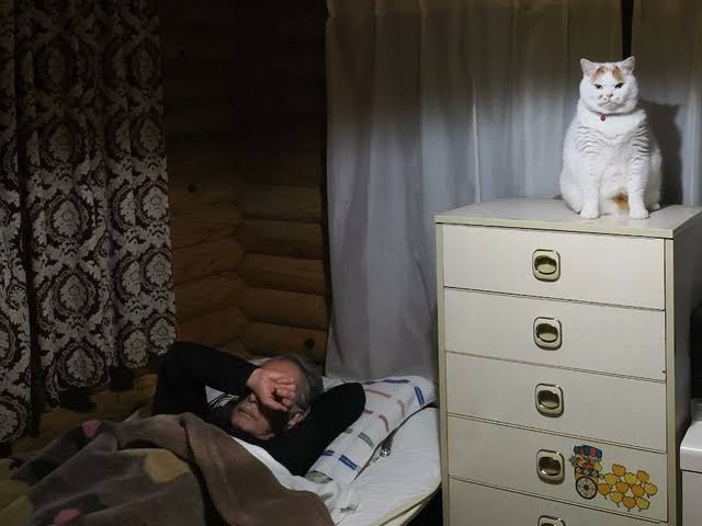 ネコの可愛い仕草を語りたい🐾