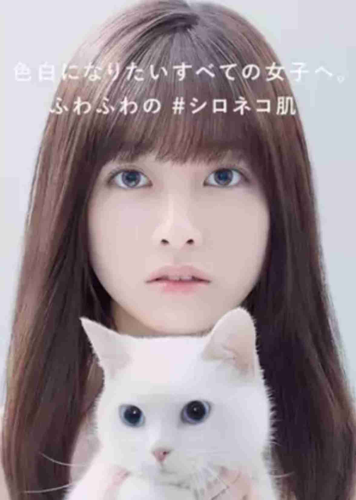 ネコの可愛い仕草を語りたい🐾
