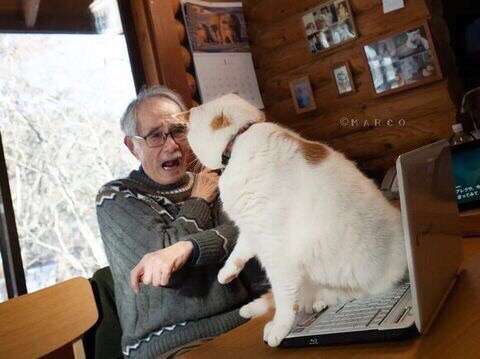 ネコの可愛い仕草を語りたい🐾