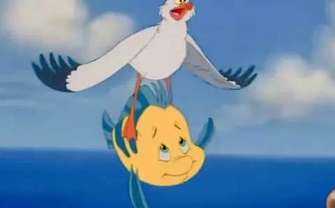 🦅🦢鳥の世界にガールズちゃんねるがあったら…🦚🕊️