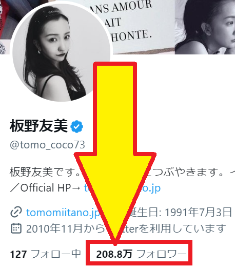 板野友美と篠田麻里子、AKB48時代からの“キャラかぶり”不仲 あらわになったママタレとしての“格差”