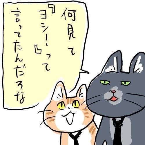 帝王切開の傷は「1週間位でじゅうぶん治る」 子供向け絵本の表現物議...産婦人科医も「不適切」指摘
