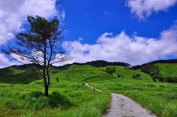 どこか切ない夏の画像を貼っていくトピpart7