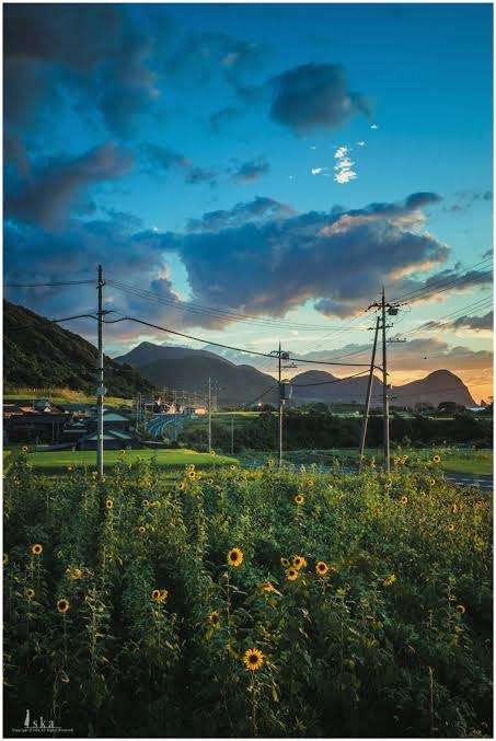 どこか切ない夏の画像を貼っていくトピpart7