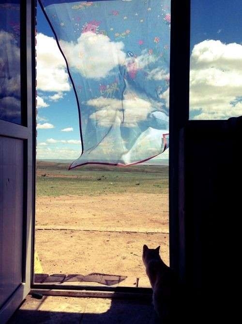 どこか切ない夏の画像を貼っていくトピpart7