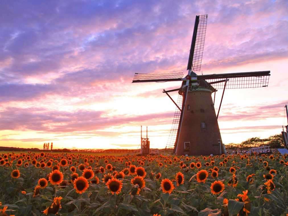 どこか切ない夏の画像を貼っていくトピpart7