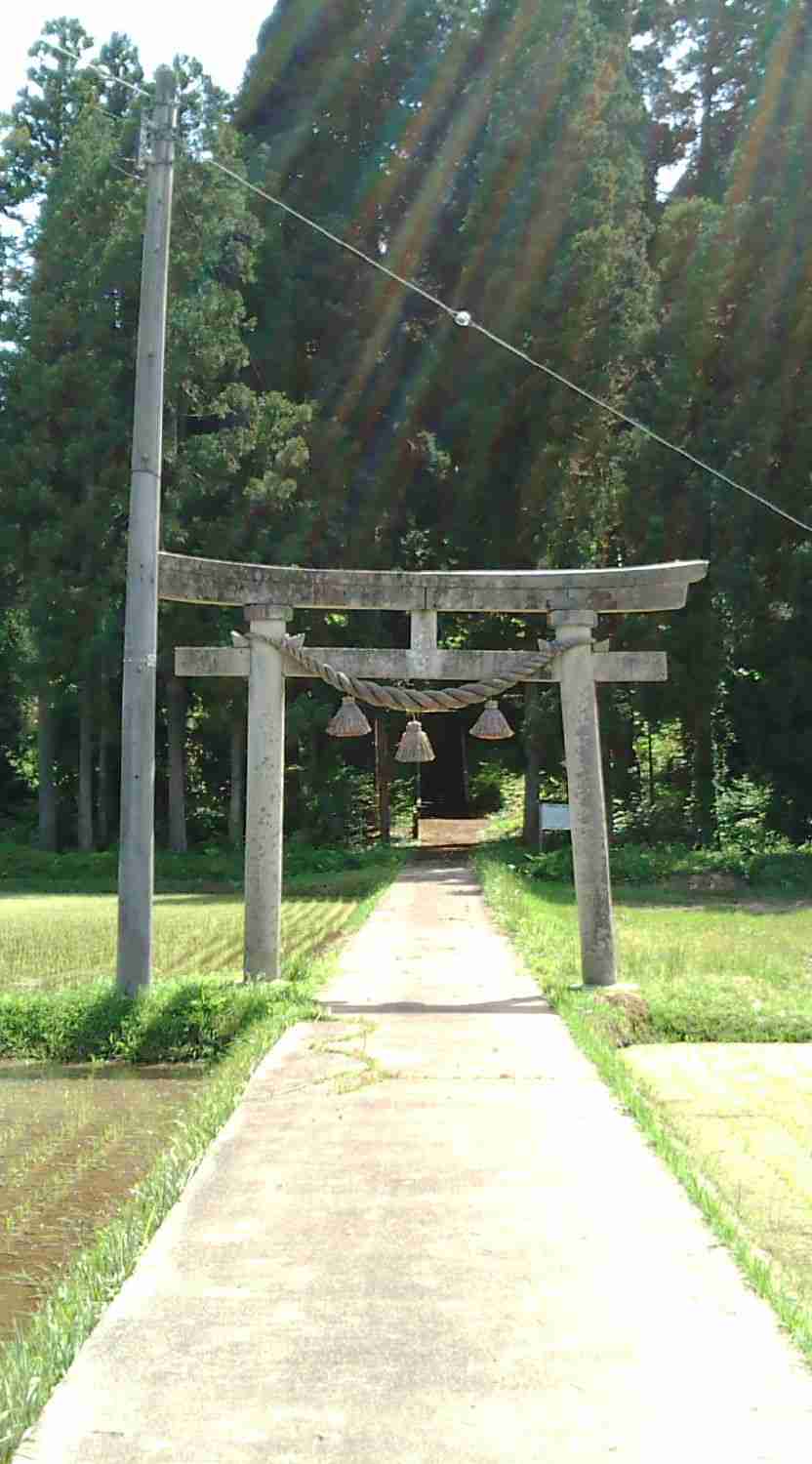 どこか切ない夏の画像を貼っていくトピpart7