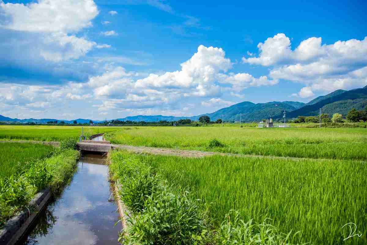 どこか切ない夏の画像を貼っていくトピpart7