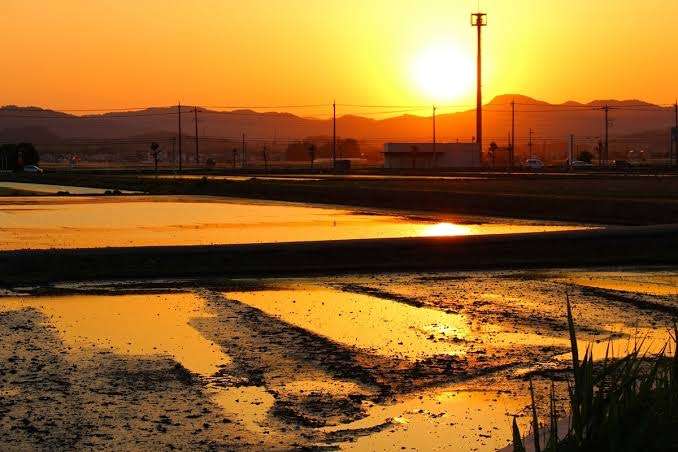 どこか切ない夏の画像を貼っていくトピpart7