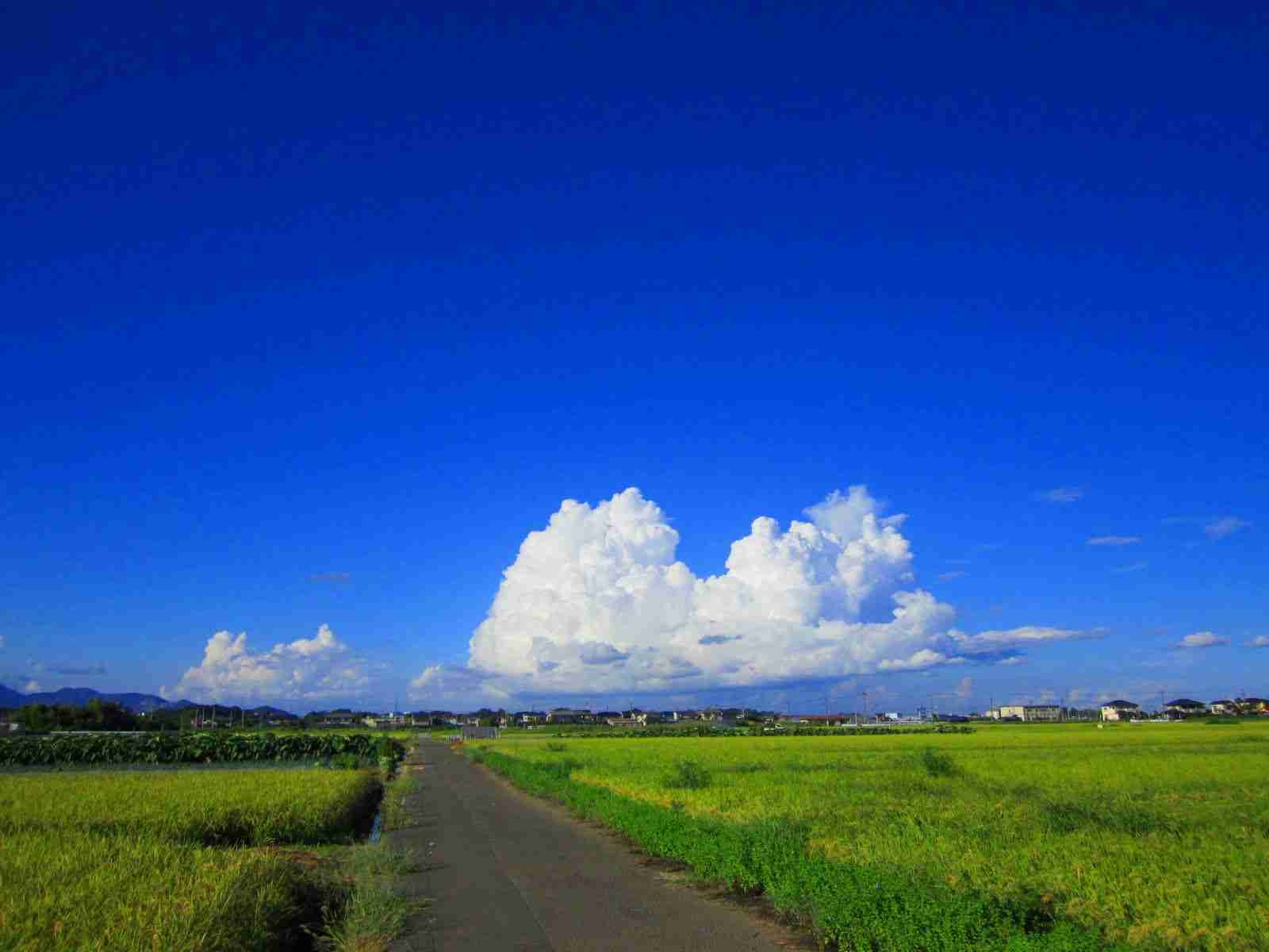 どこか切ない夏の画像を貼っていくトピpart7