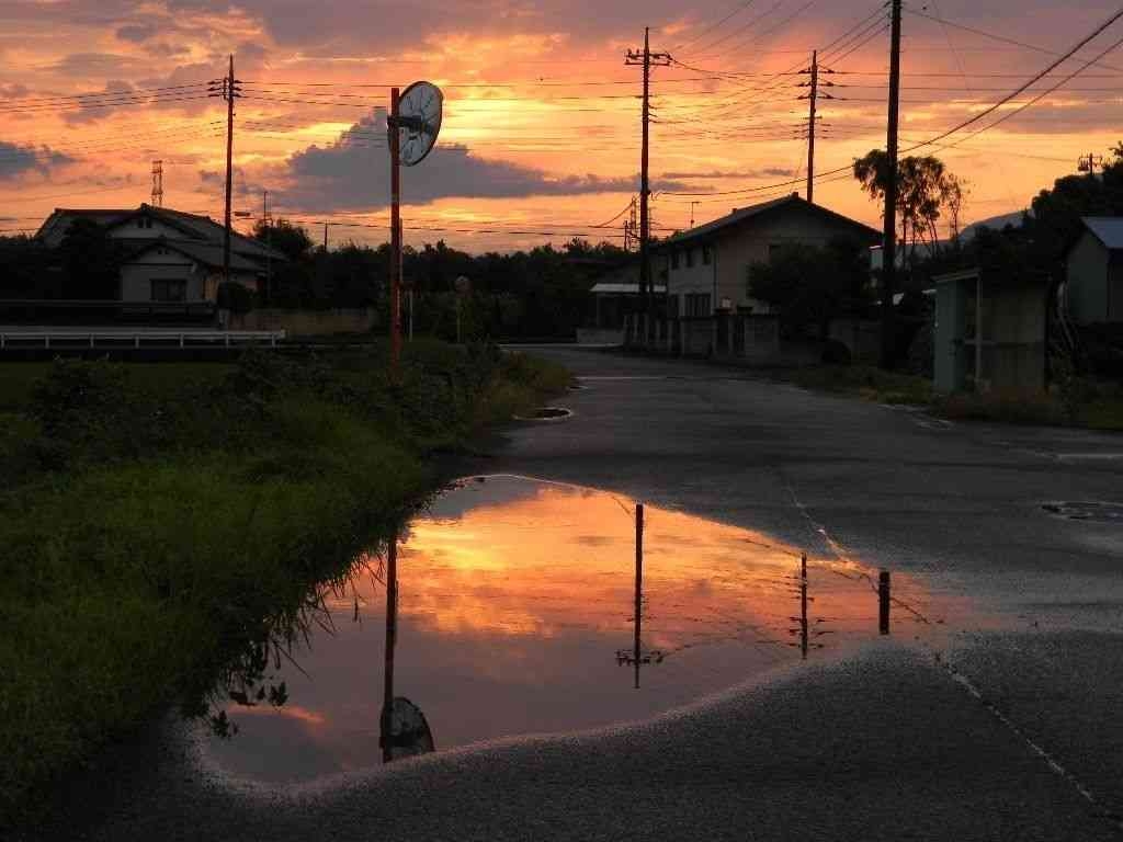 どこか切ない夏の画像を貼っていくトピpart7