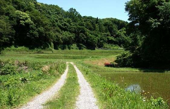 どこか切ない夏の画像を貼っていくトピpart7