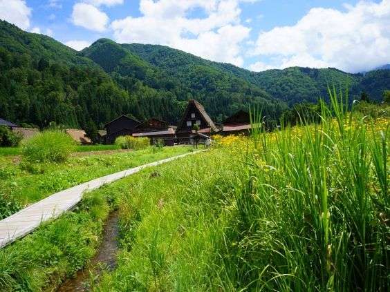 どこか切ない夏の画像を貼っていくトピpart7