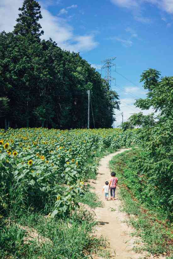 どこか切ない夏の画像を貼っていくトピpart7