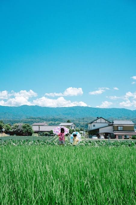 どこか切ない夏の画像を貼っていくトピpart7