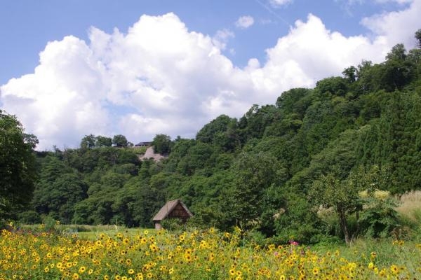 どこか切ない夏の画像を貼っていくトピpart7