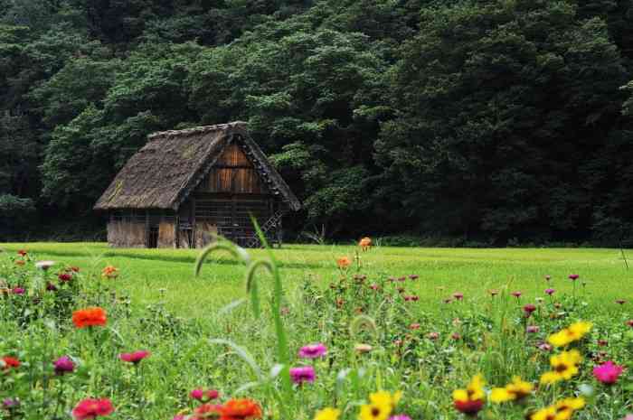 どこか切ない夏の画像を貼っていくトピpart7