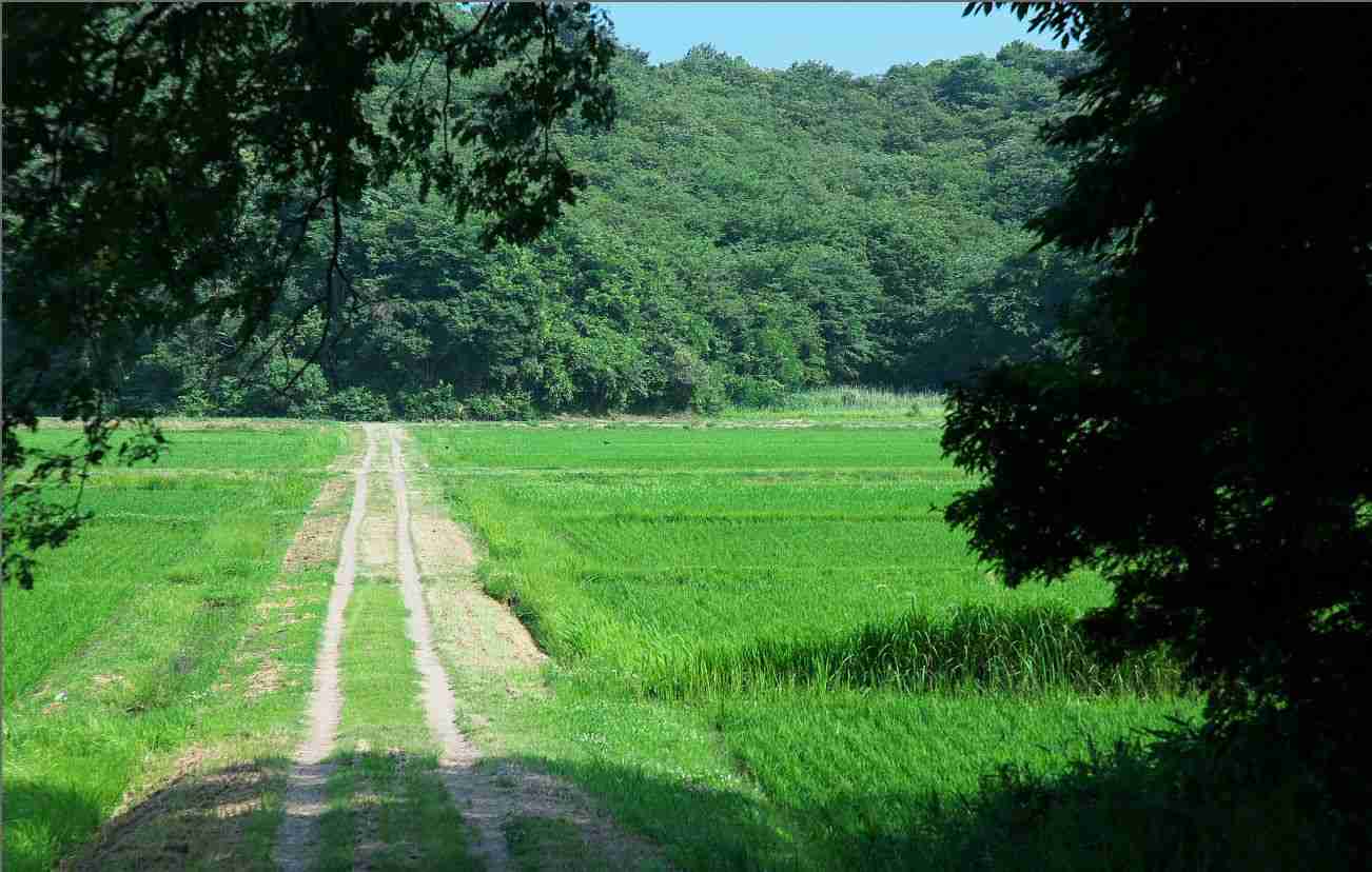 どこか切ない夏の画像を貼っていくトピpart7