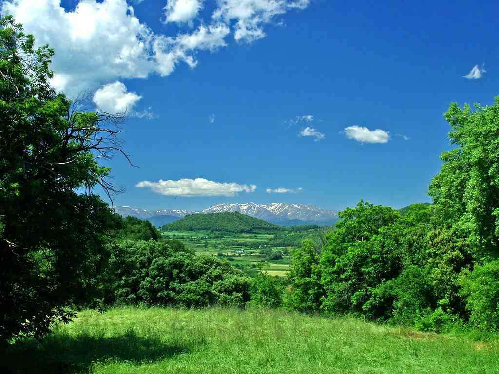 どこか切ない夏の画像を貼っていくトピpart7