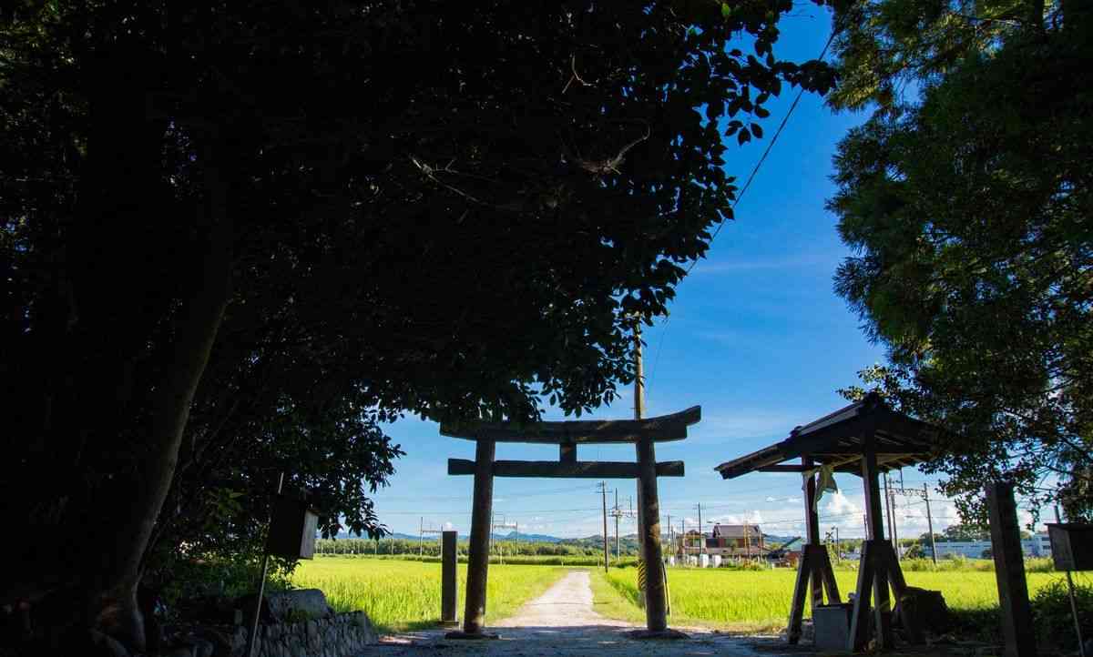 どこか切ない夏の画像を貼っていくトピpart7