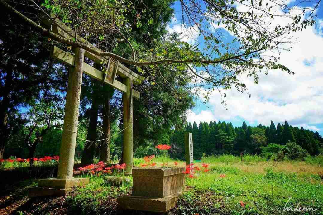 どこか切ない夏の画像を貼っていくトピpart7