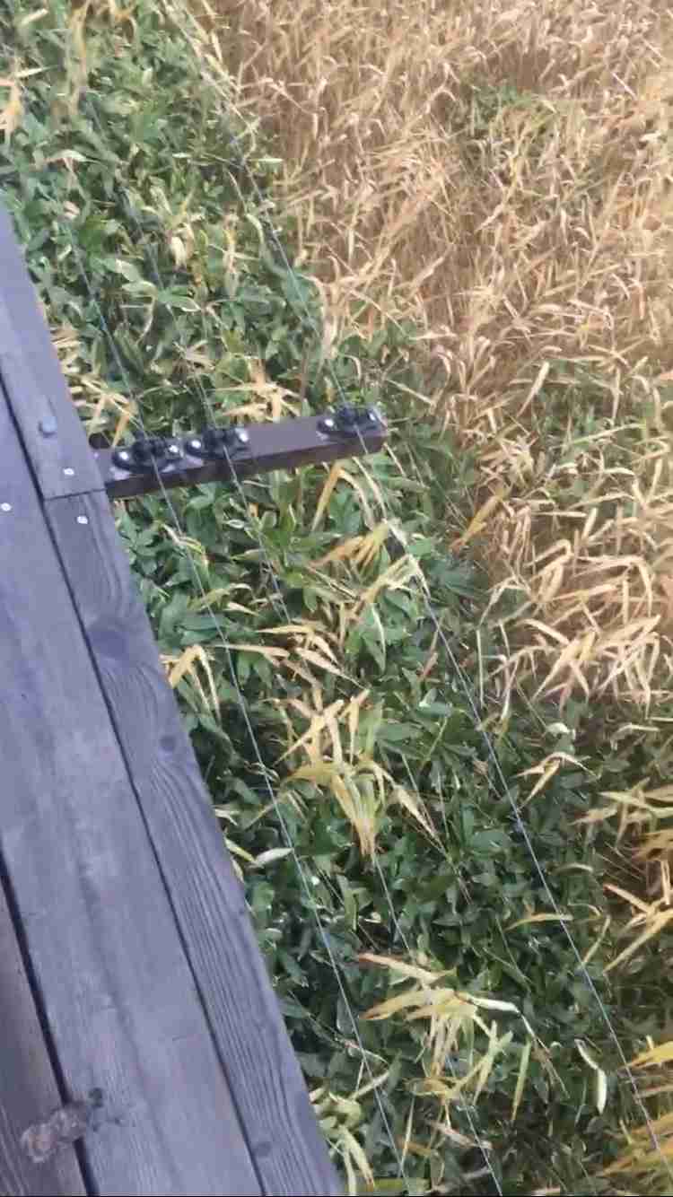 熊が怖くて観光に行けない