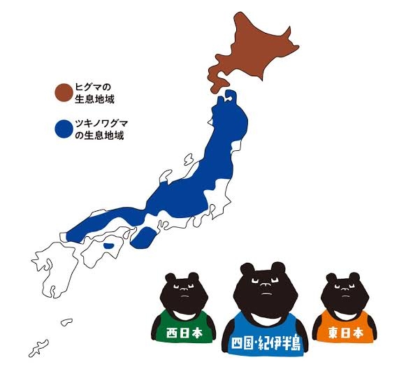 熊が怖くて観光に行けない