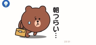 熊が怖くて観光に行けない