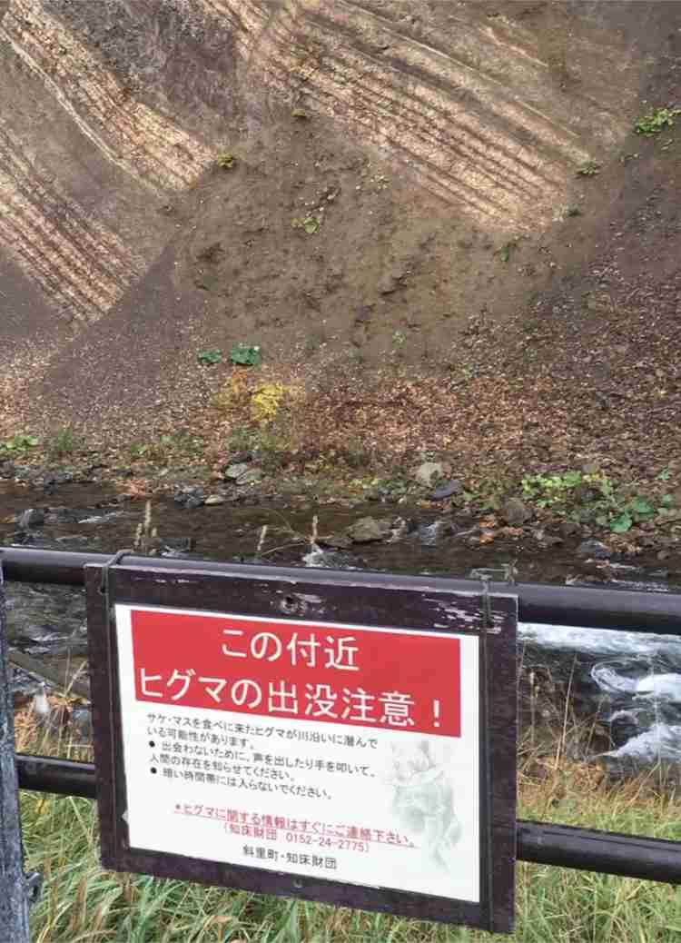 熊が怖くて観光に行けない