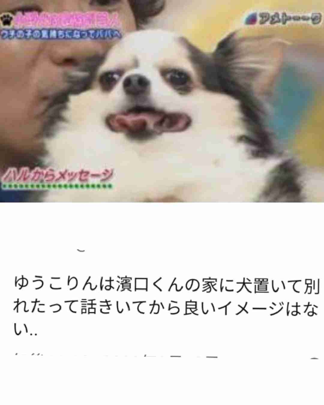 大学生になった小倉優子 同級生は“こりん星”の過去知らず「やりやすい」