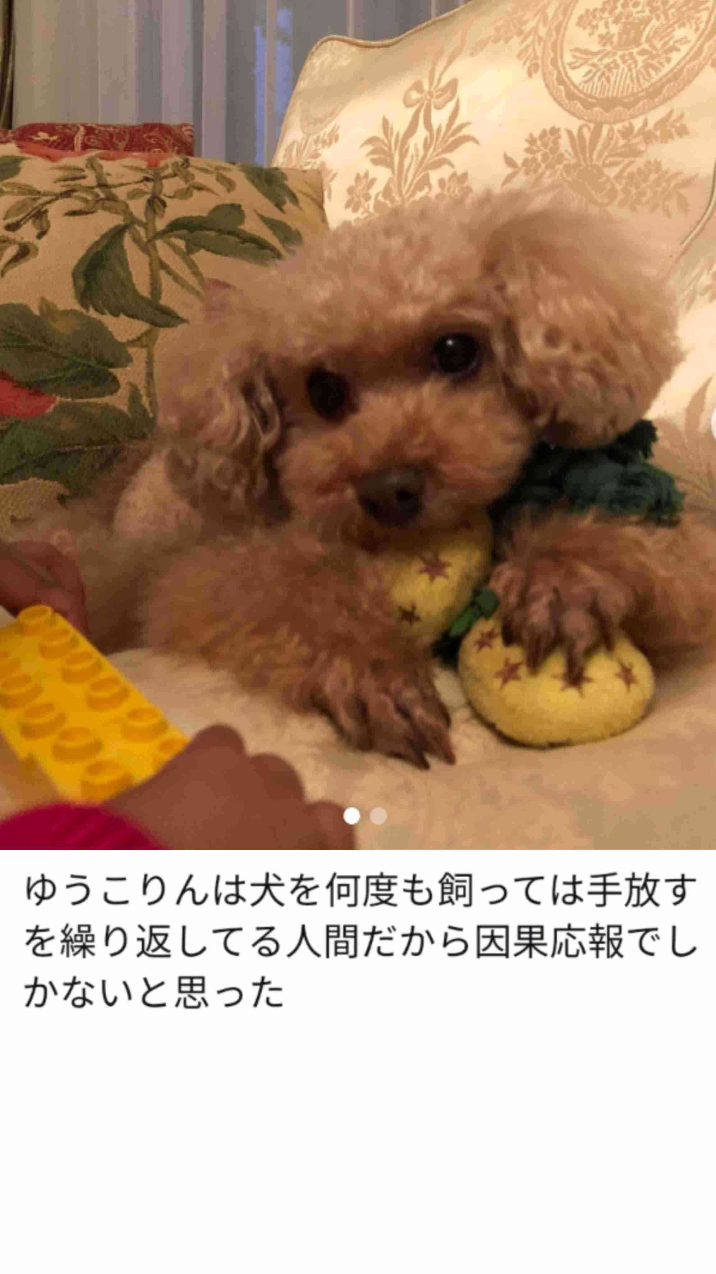 大学生になった小倉優子 同級生は“こりん星”の過去知らず「やりやすい」