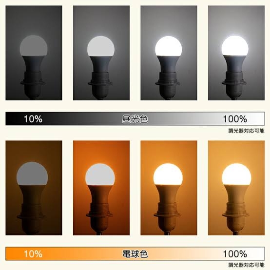 肌質髪質が悪くて美容のやる気が起きない