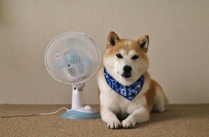 [悲しみ]トピが盛り上がらん[トピ主集合]part4