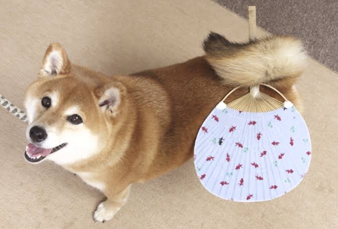 [悲しみ]トピが盛り上がらん[トピ主集合]part4