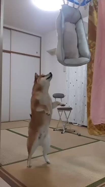 [悲しみ]トピが盛り上がらん[トピ主集合]part4