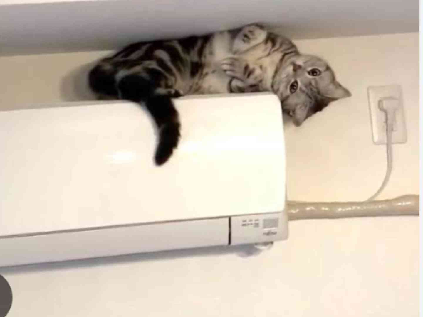 寝苦しい夜 対策は?