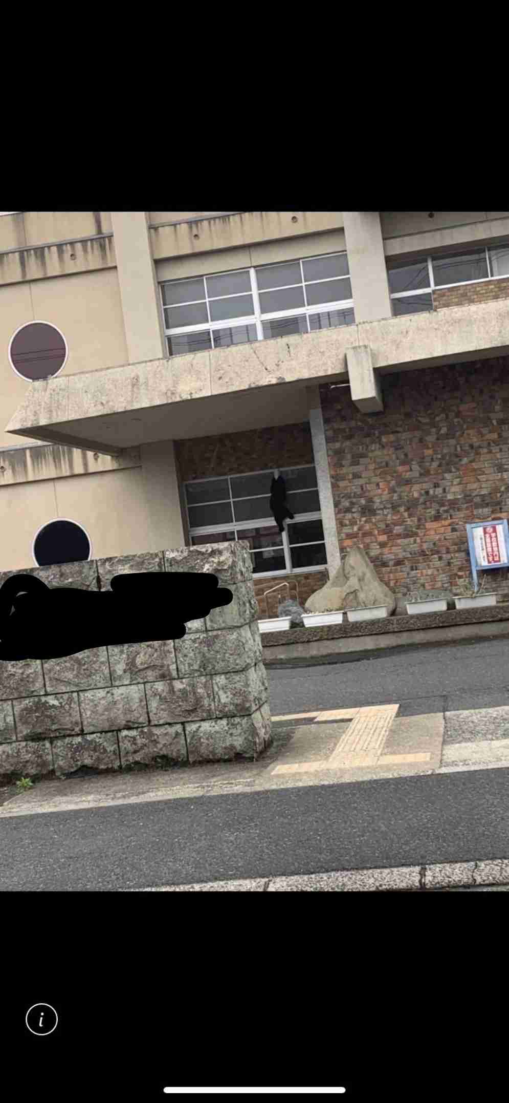 岩手の動物園ZOOMOに野生のクマが侵入か　急きょ休園に