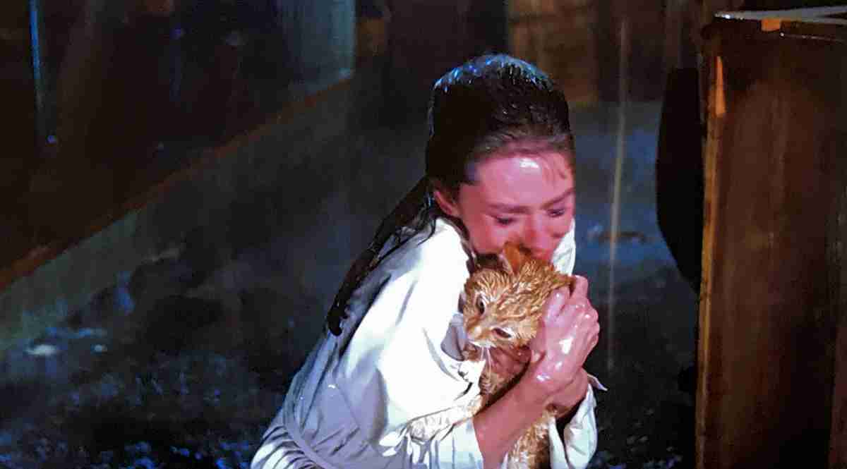 ドラマや映画で記憶に残ってる雨のシーン