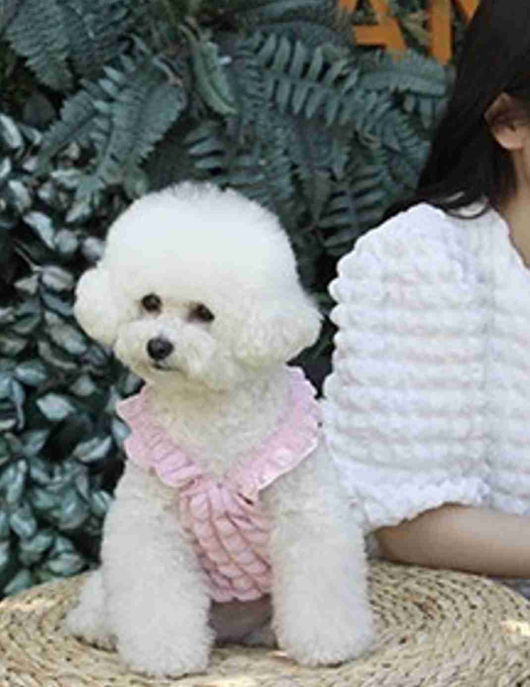 流行りに疎いので今流行ってるもの教えて