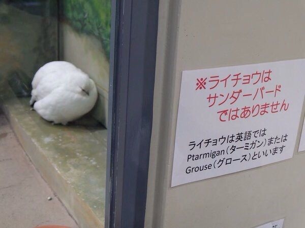 絶世のイケメンだと思う人