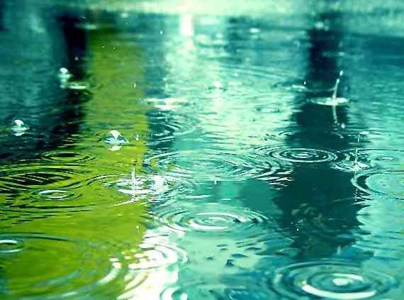 梅雨生まれの方【6月誕生日】