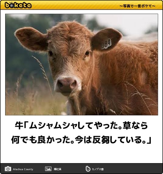 駅で突然…男性が殴られ搬送 30~40代の男が現場から逃走 川崎市